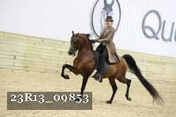 23R13_09853 thumbnail