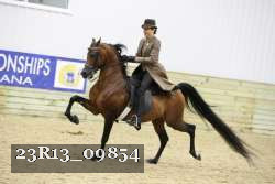 23R13_09854 thumbnail