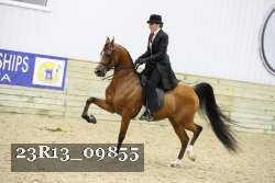 23R13_09855 thumbnail