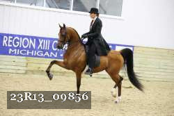 23R13_09856 thumbnail