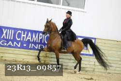 23R13_09857 thumbnail
