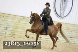 23R13_09858 thumbnail