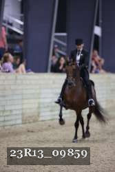 23R13_09859 thumbnail
