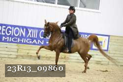 23R13_09860 thumbnail