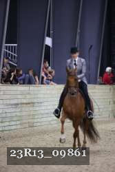 23R13_09861 thumbnail