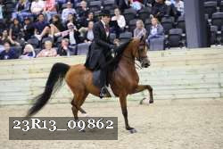 23R13_09862 thumbnail