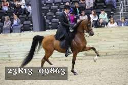 23R13_09863 thumbnail