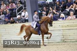 23R13_09864 thumbnail