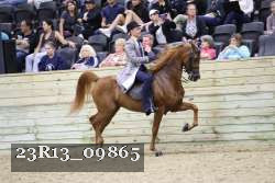 23R13_09865 thumbnail