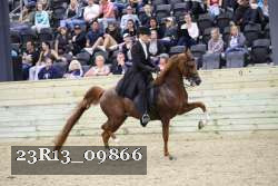 23R13_09866 thumbnail