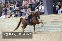 23R13_09867 thumbnail