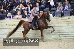 23R13_09868 thumbnail
