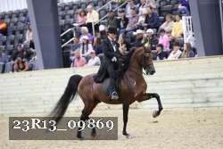 23R13_09869 thumbnail