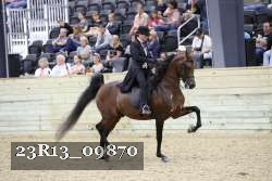 23R13_09870 thumbnail