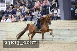 23R13_09871 thumbnail