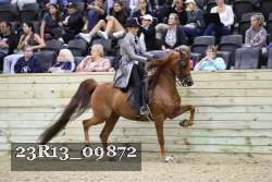 23R13_09872 thumbnail