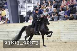23R13_09873 thumbnail