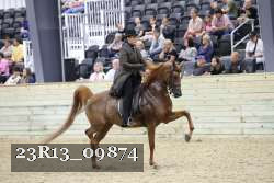 23R13_09874 thumbnail