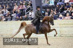 23R13_09875 thumbnail