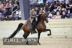 23R13_09876 thumbnail