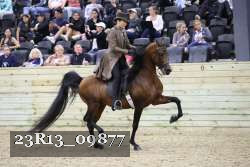 23R13_09877 thumbnail