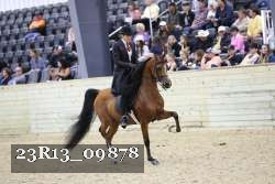 23R13_09878 thumbnail