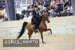 23R13_09879 thumbnail