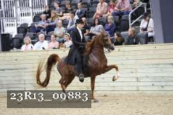 23R13_09883 thumbnail