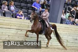 23R13_09904 thumbnail