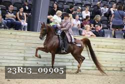 23R13_09905 thumbnail