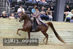 23R13_09906 thumbnail