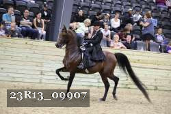 23R13_09907 thumbnail