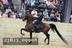 23R13_09908 thumbnail