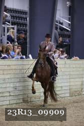 23R13_09909 thumbnail