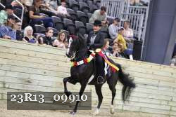 23R13_09910 thumbnail