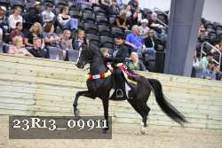 23R13_09911 thumbnail