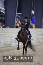 23R13_09912 thumbnail