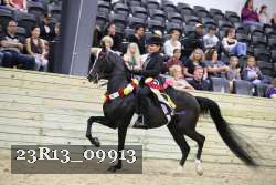 23R13_09913 thumbnail