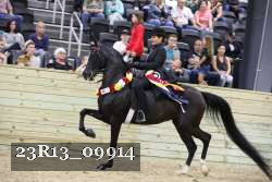 23R13_09914 thumbnail