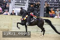 23R13_09915 thumbnail