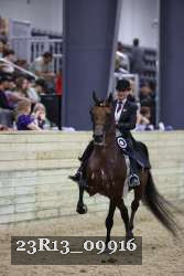 23R13_09916 thumbnail