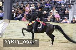 23R13_09917 thumbnail