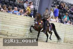 23R13_09918 thumbnail