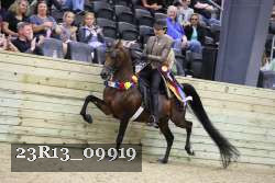 23R13_09919 thumbnail