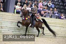 23R13_09920 thumbnail