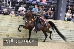 23R13_09921 thumbnail