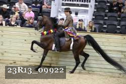 23R13_09922 thumbnail