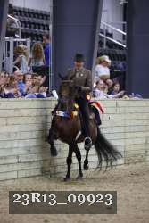 23R13_09923 thumbnail