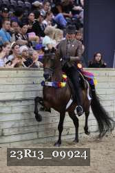 23R13_09924 thumbnail