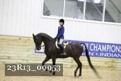 23R13_09953 thumbnail